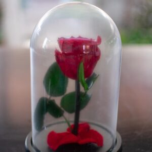 Αποχυμωμένα τριαντάφυλλα (Forever Roses)